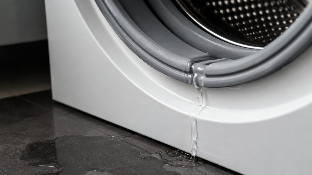 Front Leak on a Viking Washer: Gasket Folds and Dispenser Paths